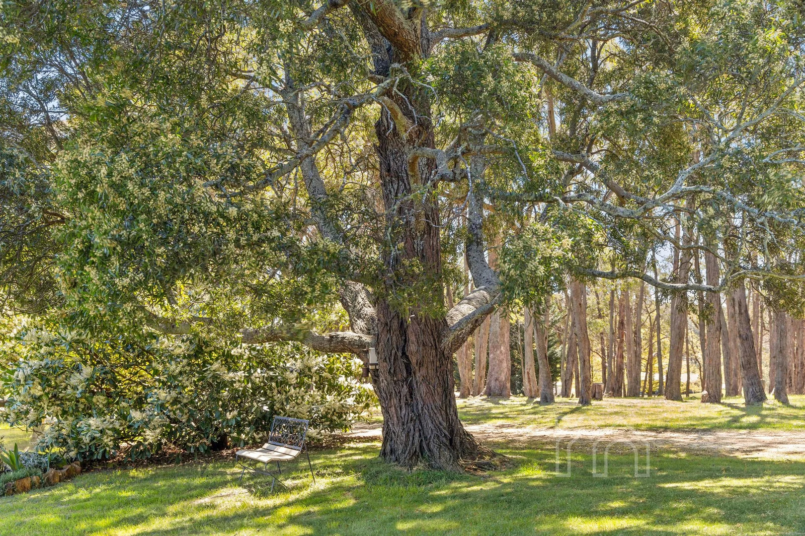 Additional image 22 of 153 Sandy Farm Road, Denver VIC 3461