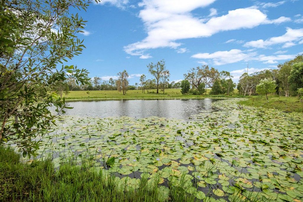 Lot 2 Summerland Way, Mountain View NSW 2460, Image 2