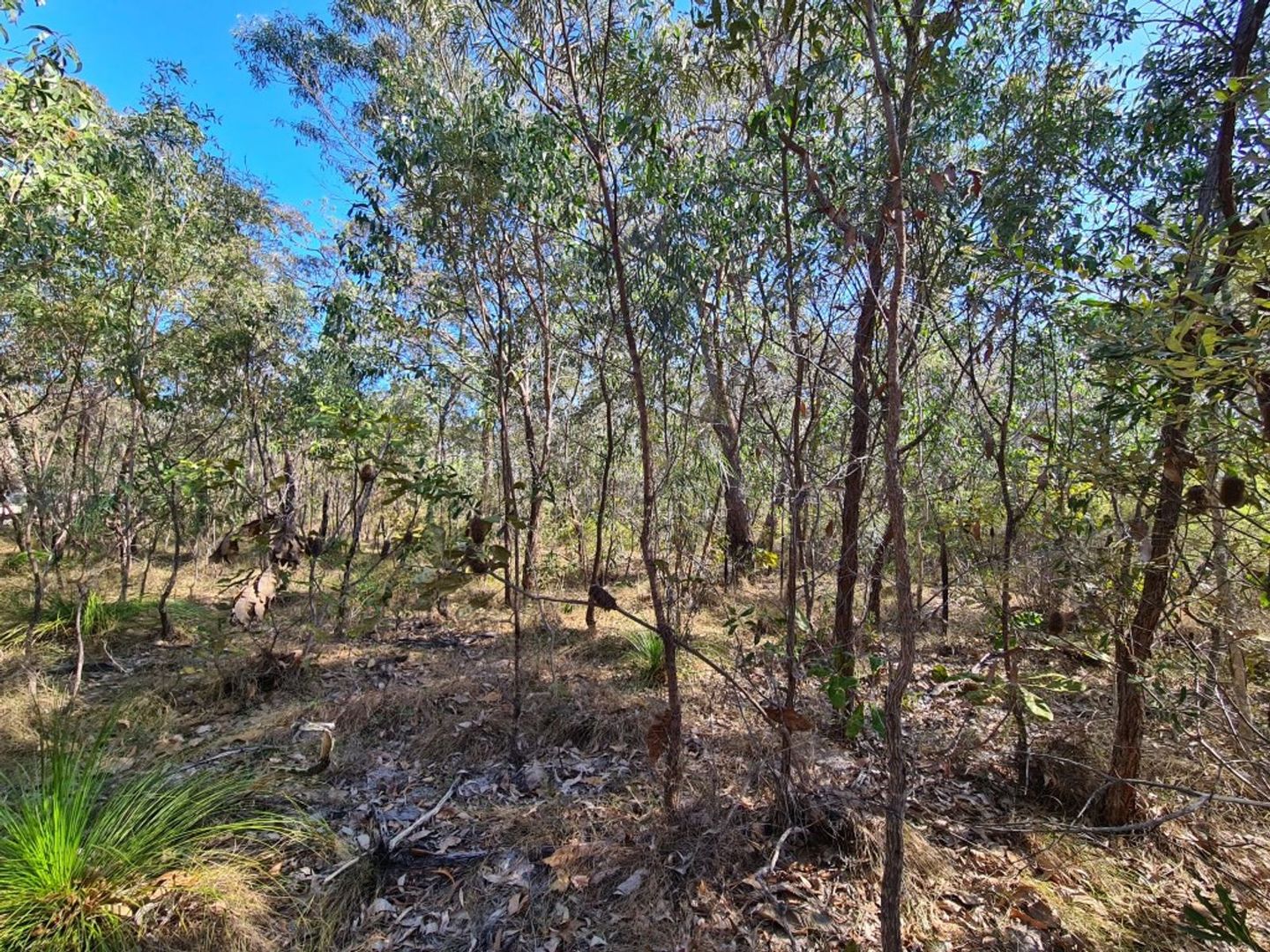 Lot 1 Coast Road, Baffle Creek QLD 4674, Image 2