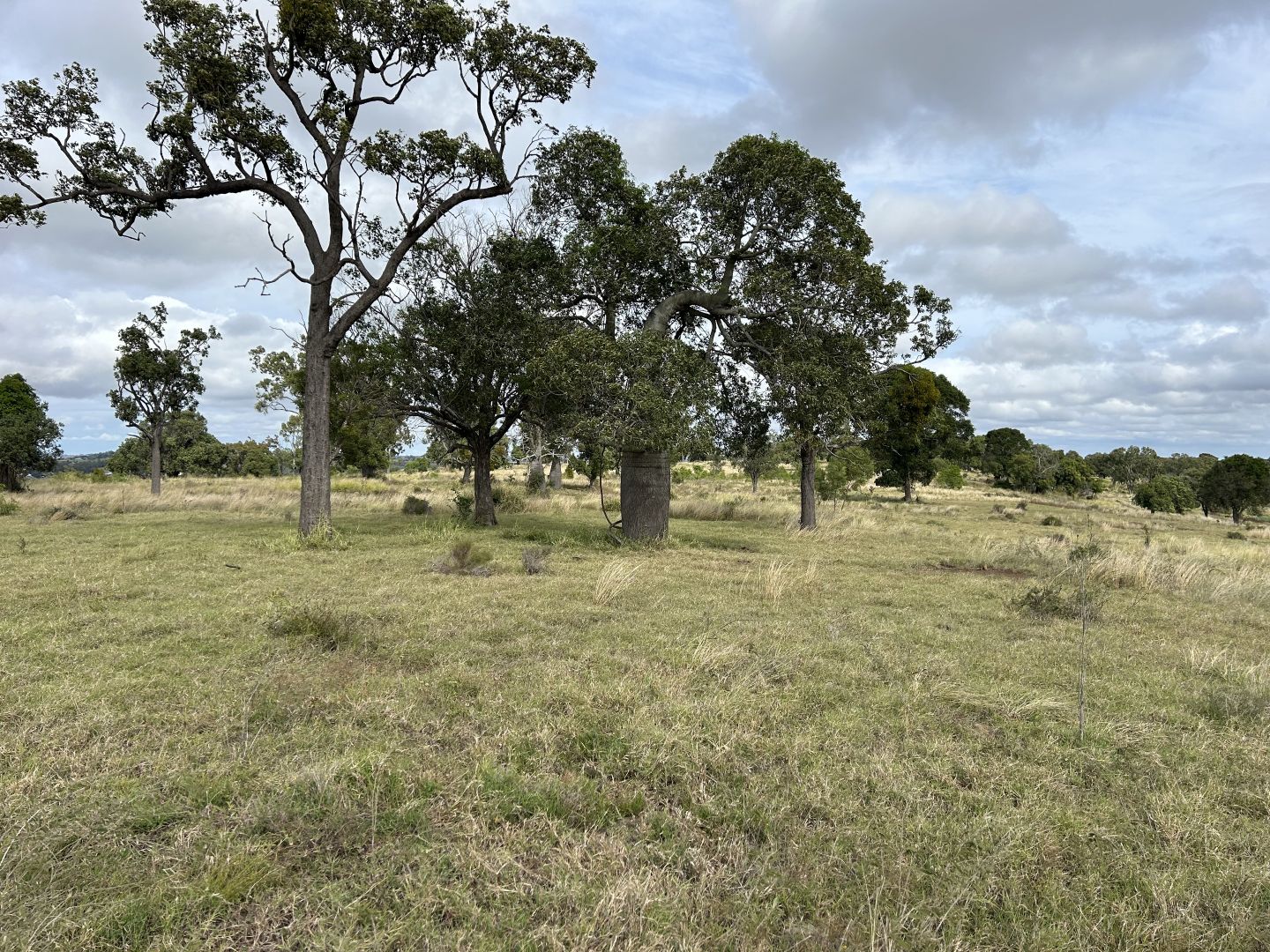 Lot 223 Oakey Cooyar Road, Kulpi QLD 4352, Image 1