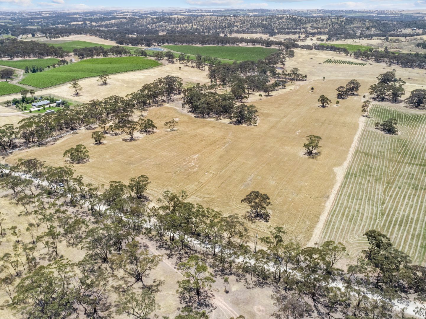 Lot 205 Scobie Road, Emu Flat SA 5453, Image 1