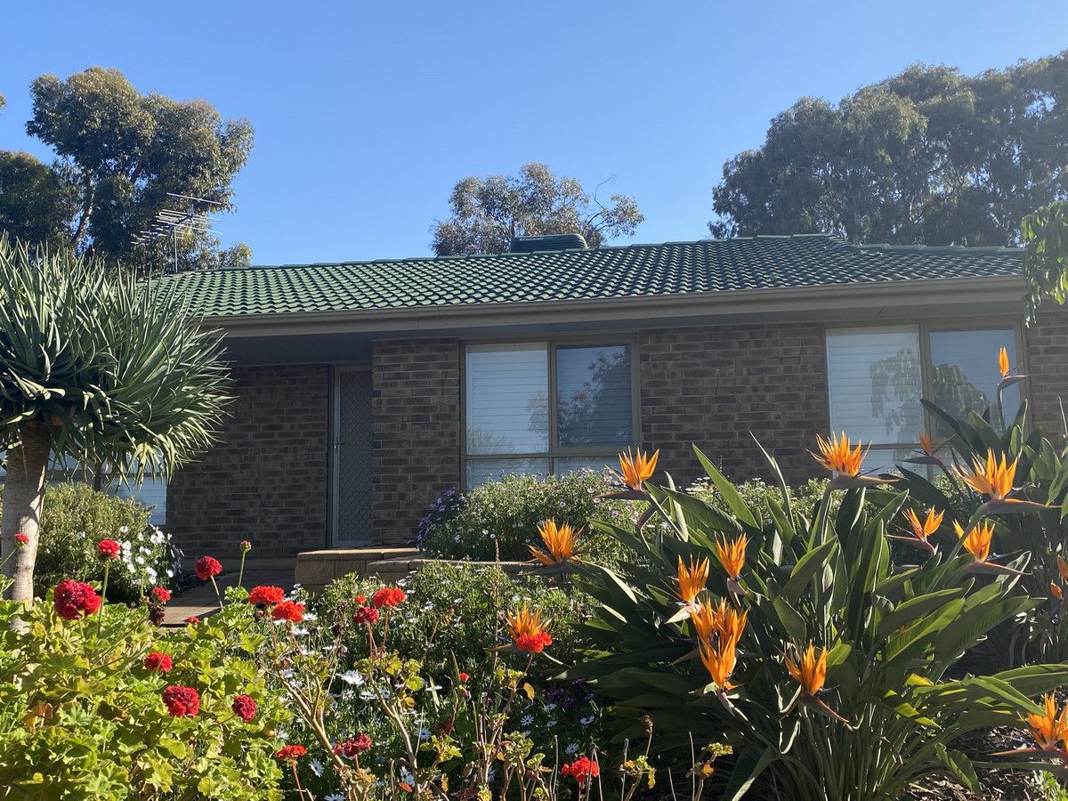 6 Woodall Court, Willaston SA 5118 House For Rent Domain