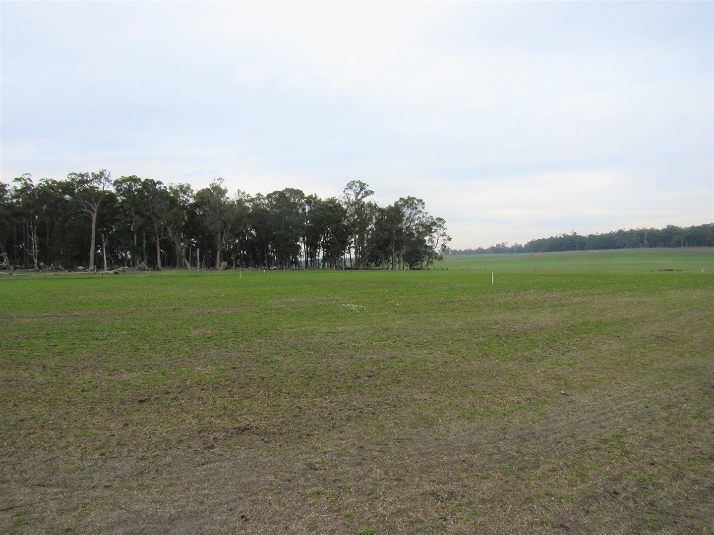 Lot 102 Bessell Road, Rosa Brook WA 6285, Image 0