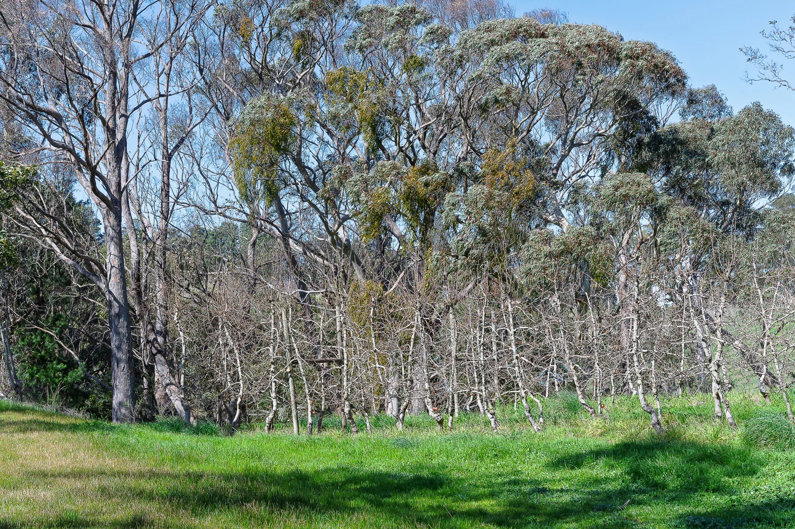 Image 12