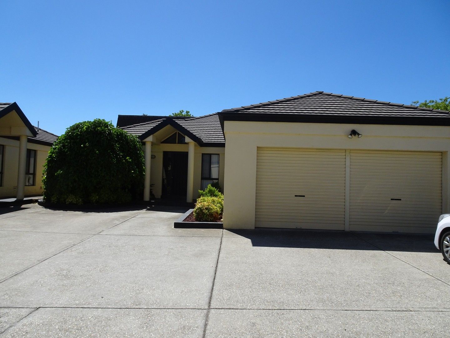 3/682 Kiewa Street, Albury NSW 2640 Townhouse For Rent Domain