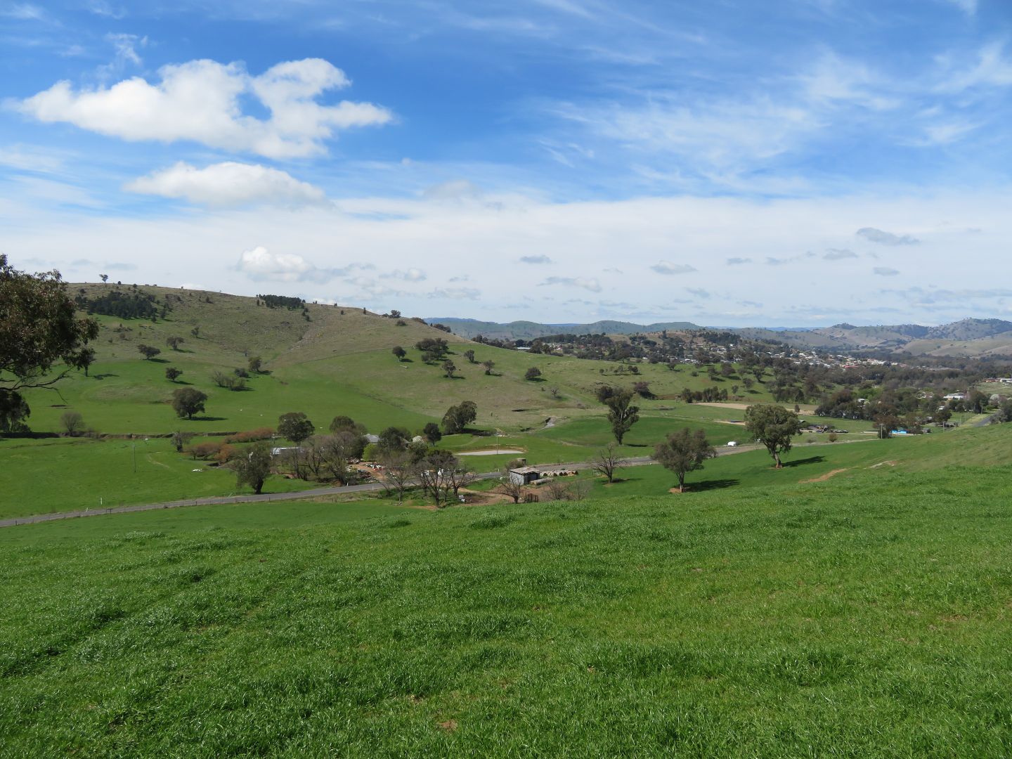 Lot 128 Burra Road, Gundagai NSW 2722, Image 1