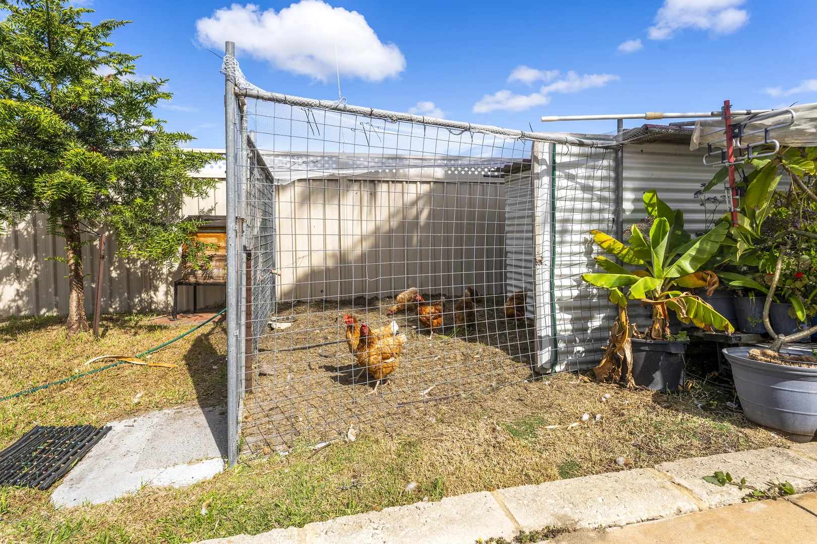 Additional image 27 of 4 Osmunda Place, Pinjarra WA 6208