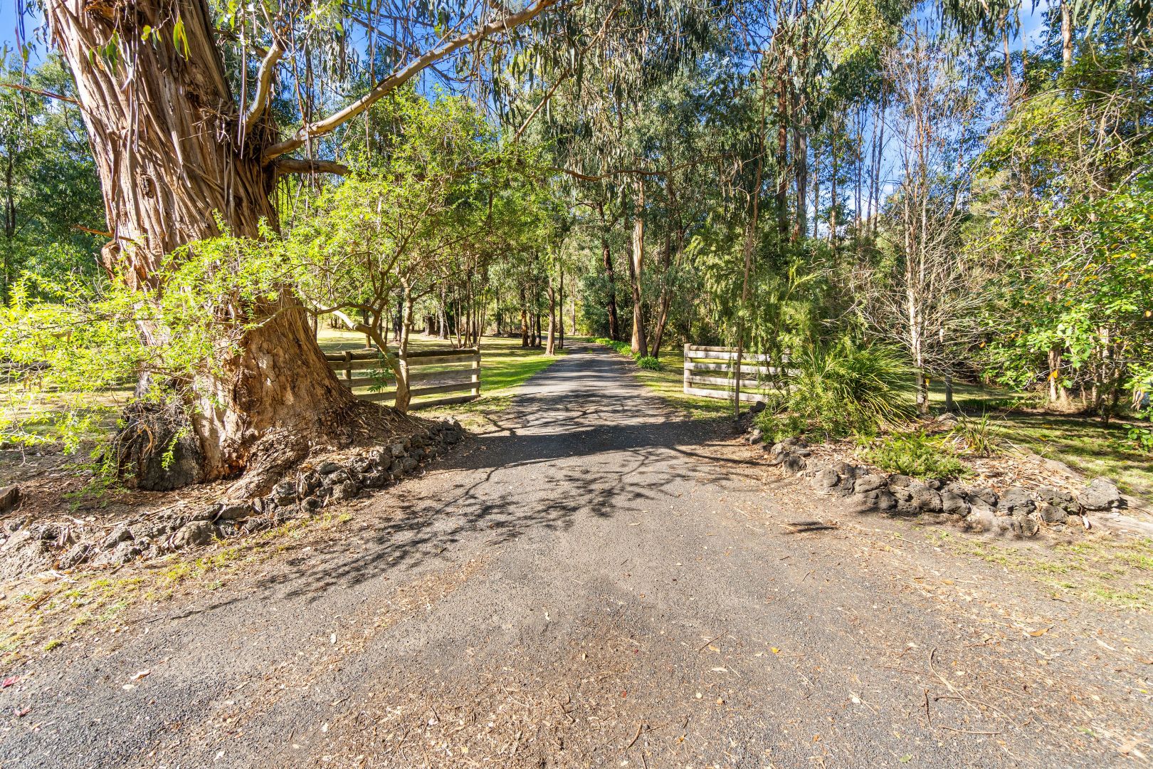 1565 Traralgon Creek Road, Koornalla VIC 3844, Image 1