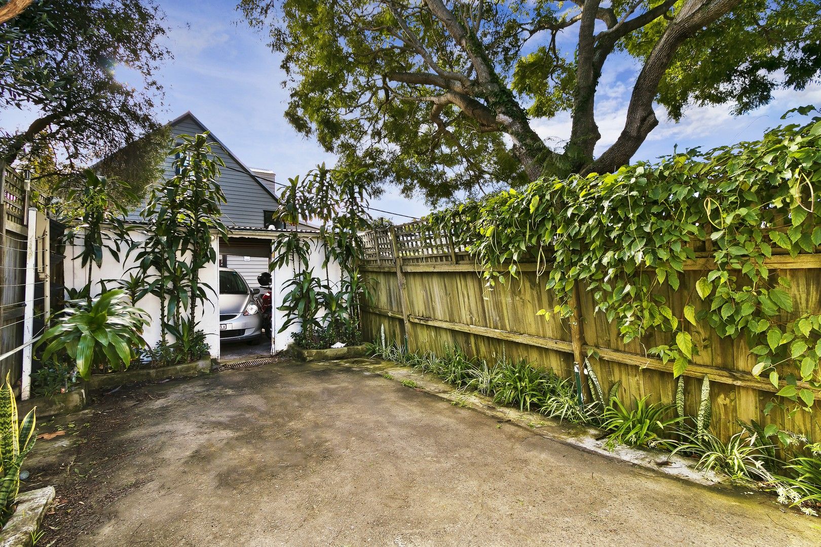 36 William Street, Paddington NSW 2021, Image 0