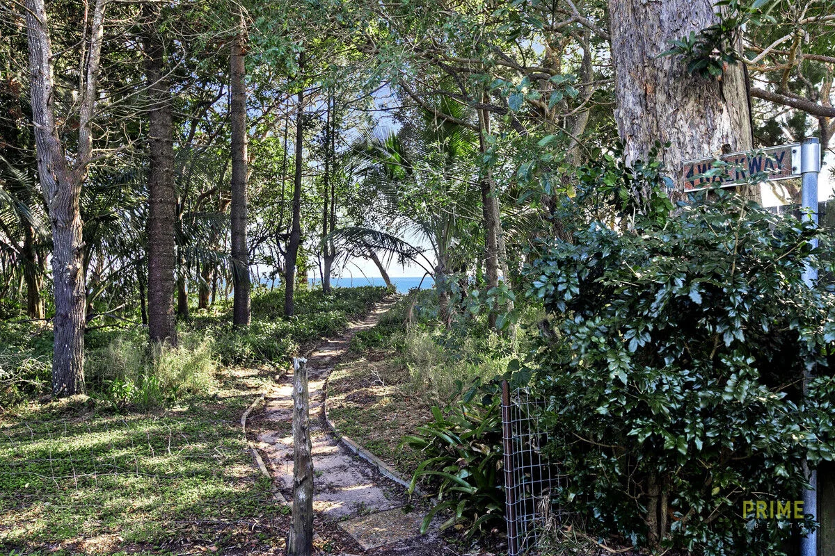 Image 12