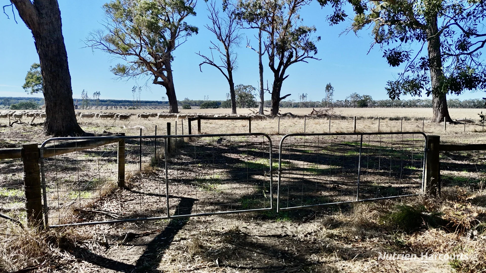 Additional image 7 of Allotment 39 Paynes Lane, Digby VIC 3309