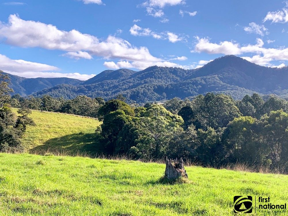 Lot 1/219 South Island Loop Road, Upper Orara NSW 2450, Image 0