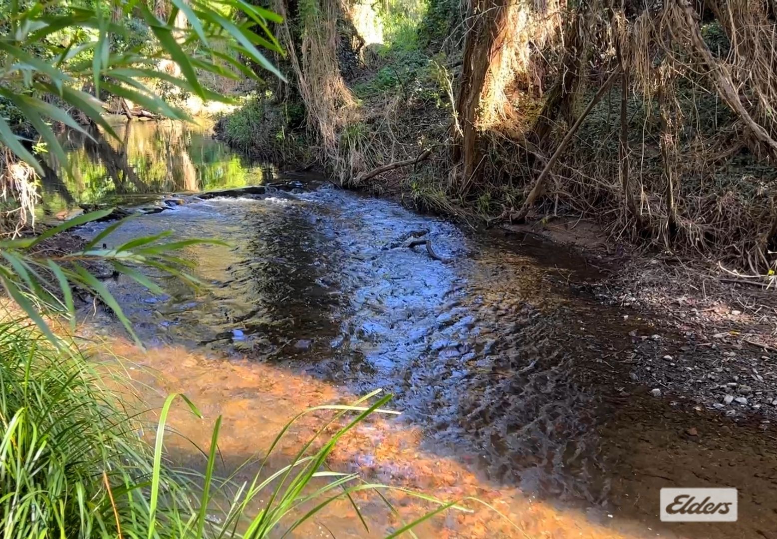 Long Road, Pie Creek QLD 4570, Image 2