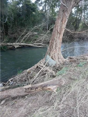 Additional image 11 of 127 Tobins River Road, Mount Seaview NSW 2446