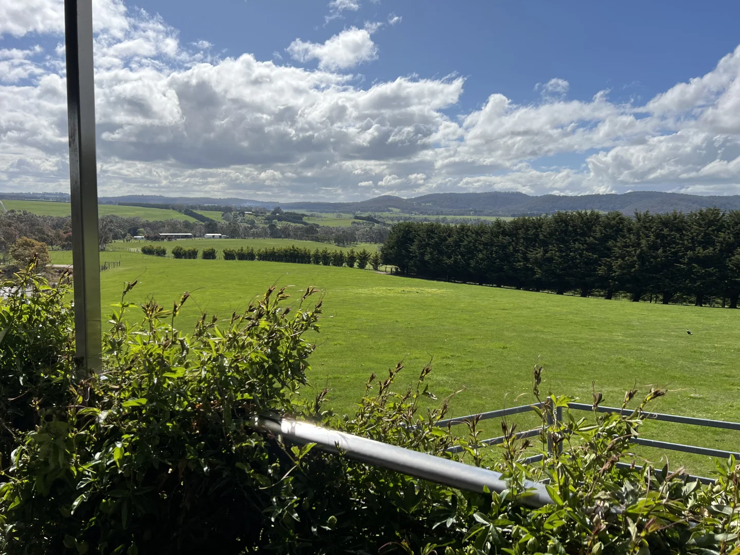 Additional image 20 of 77 Sheltons Road, Newham VIC 3442