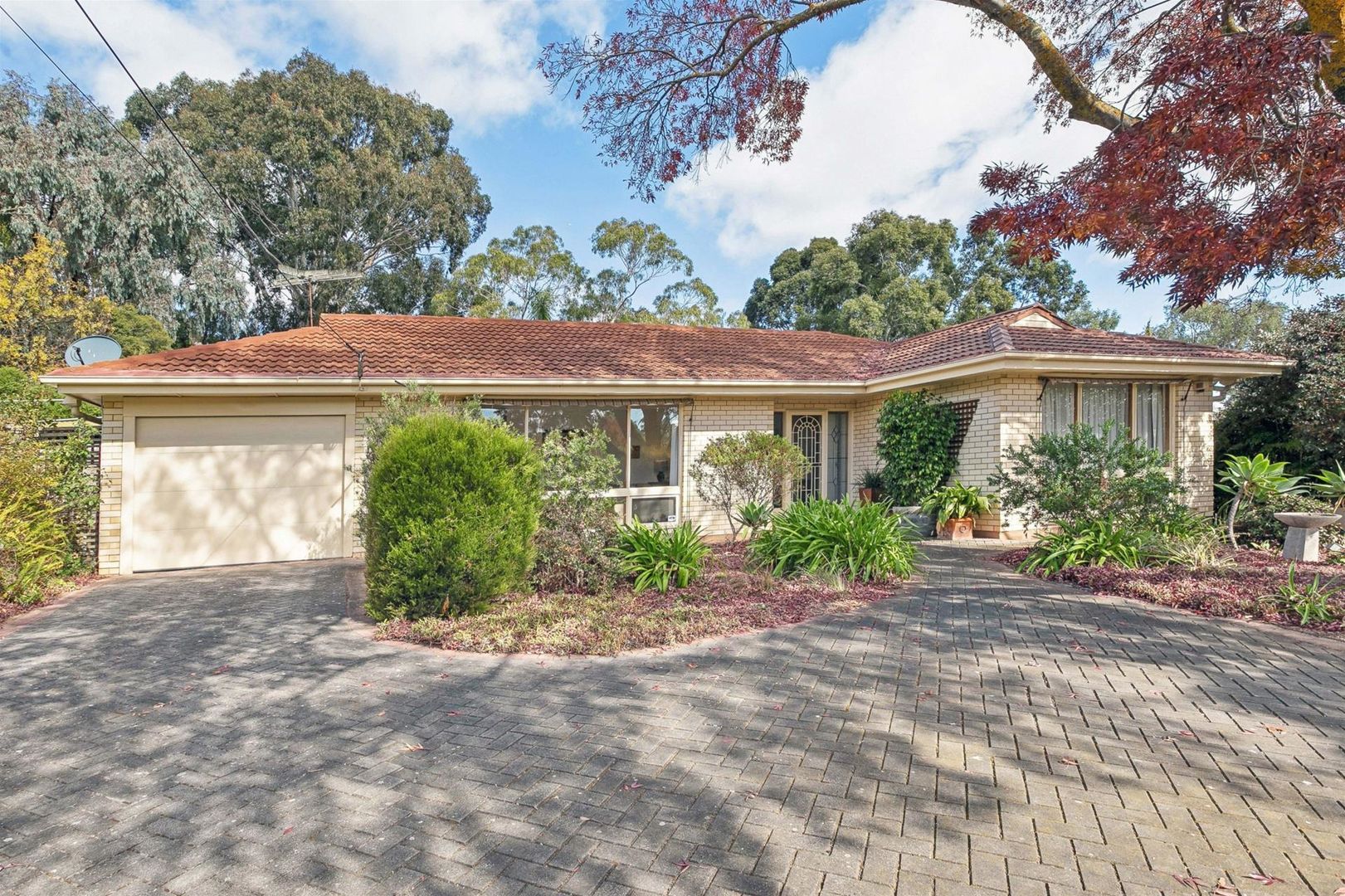 10 Patricia Street, Coromandel Valley SA 5051 Domain