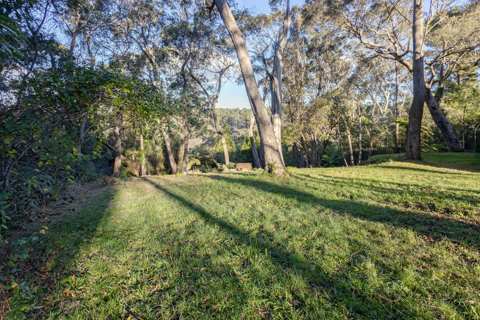 Lot 103/11-15 Lawrence Street, Blackheath NSW 2785, Image 2