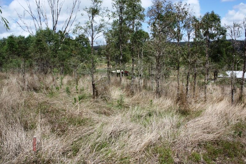 Lot 3 Hodnett Street, MOUNT PERRY QLD 4671, Image 1