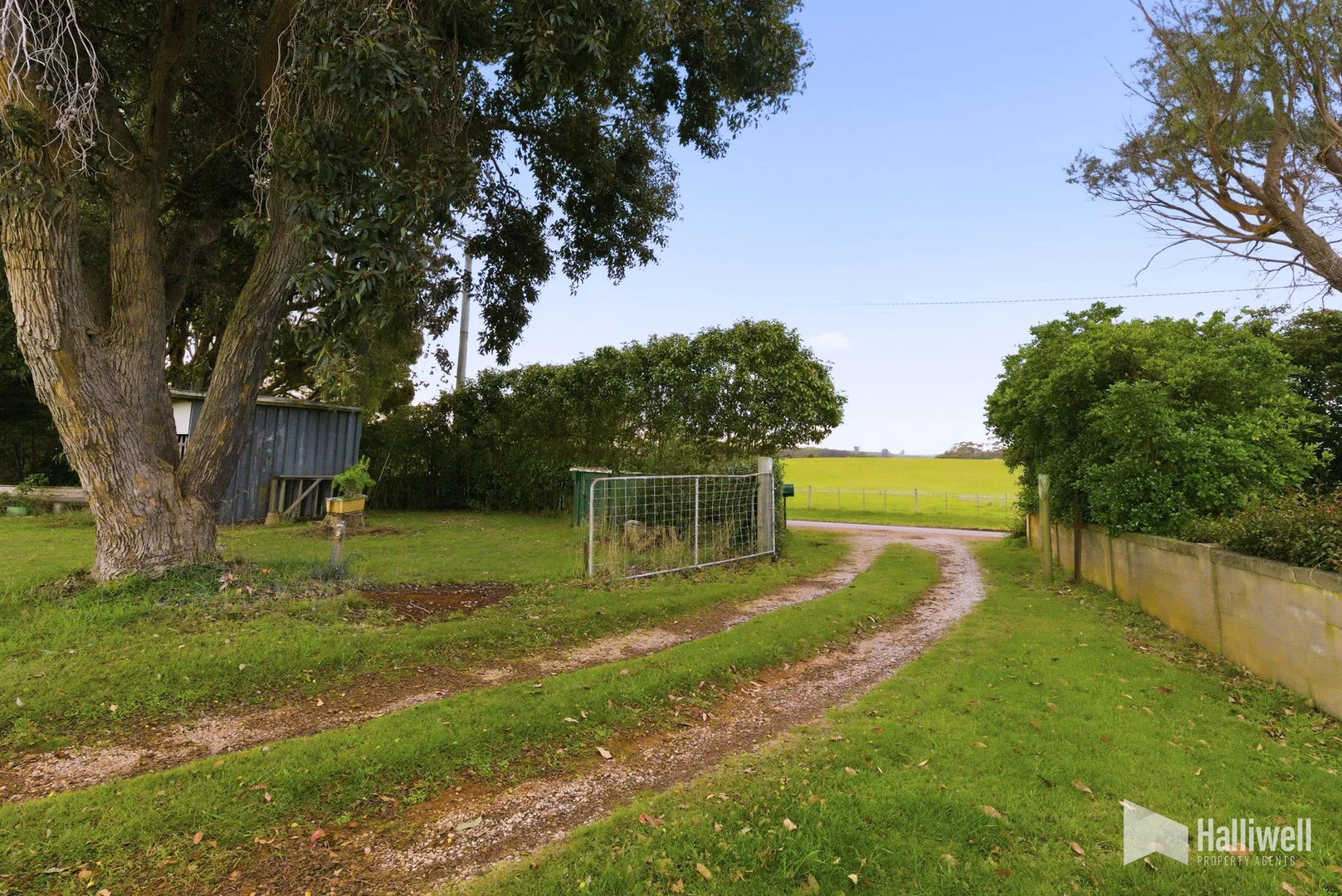 Image 36