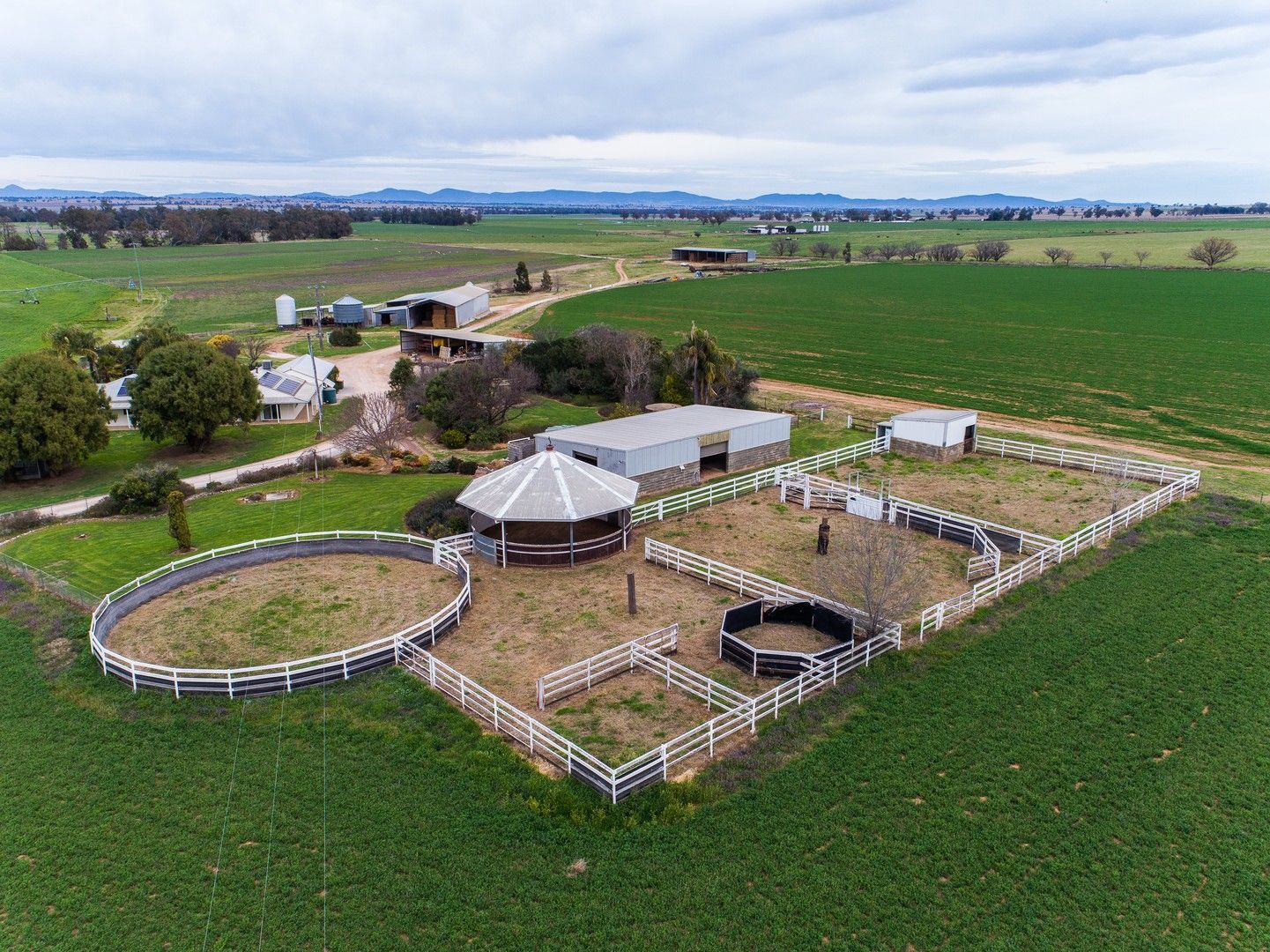 Sold 199 Top Somerton Road, Attunga, Tamworth NSW 2340 on 21 Nov 2022 2018055466 Domain