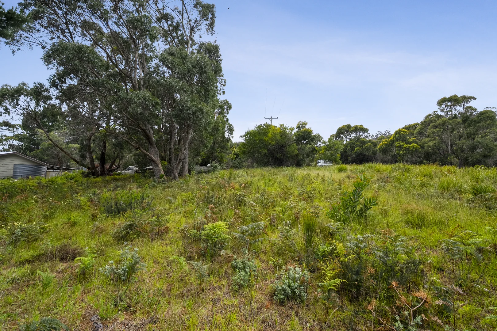 Image 10