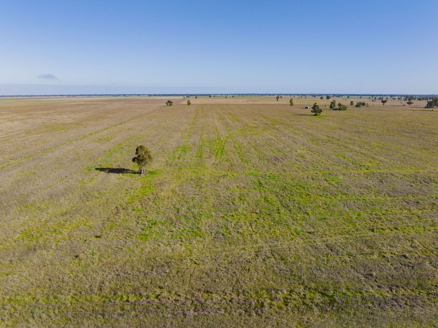 Newell Highway, Narrandera NSW 2700, Image 1