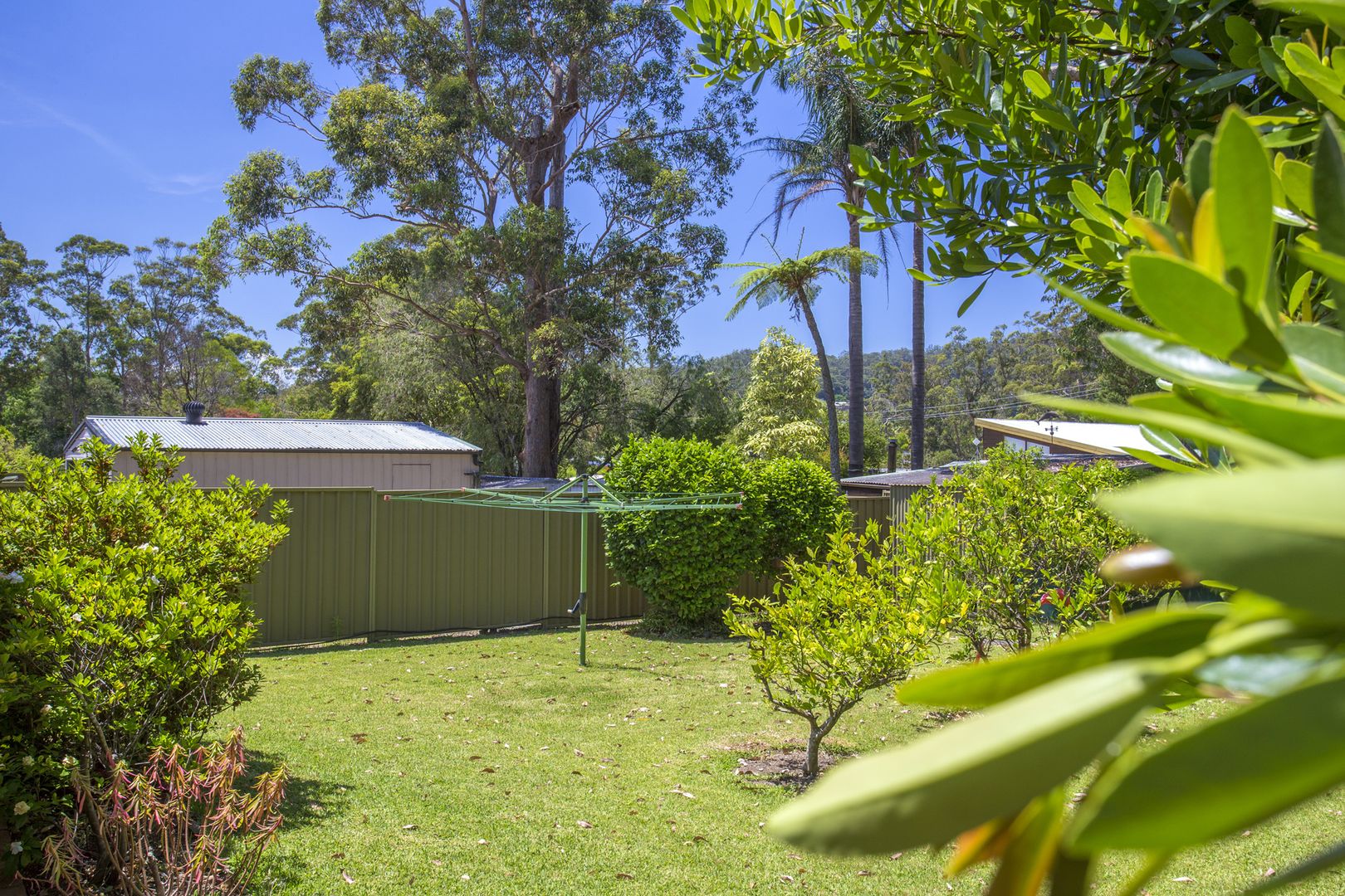 36 Wattle Street, Fishermans Paradise NSW 2539, Image 1