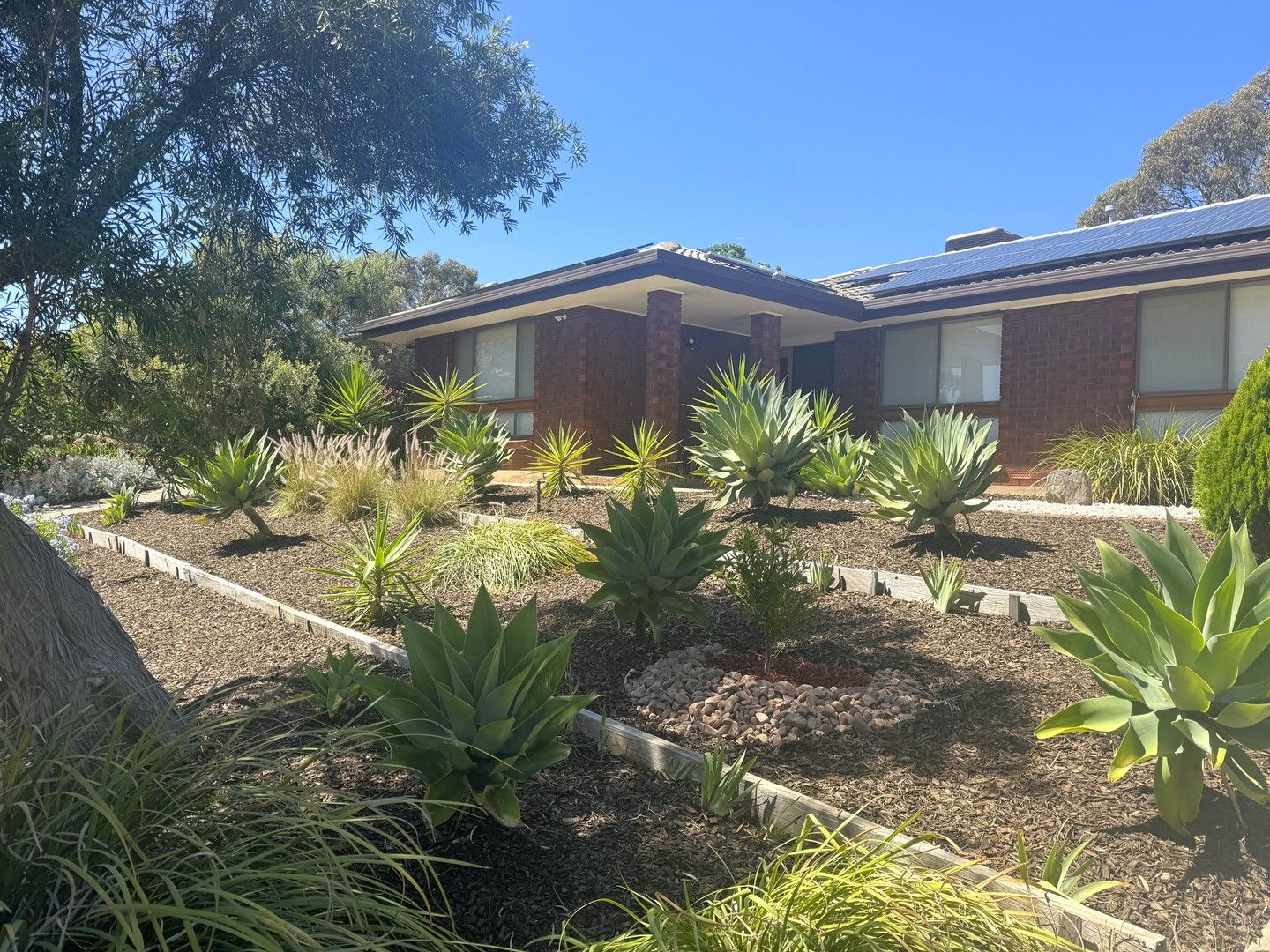 19 Barlow Court St Agnes SA 5097 House For Rent $530 Domain