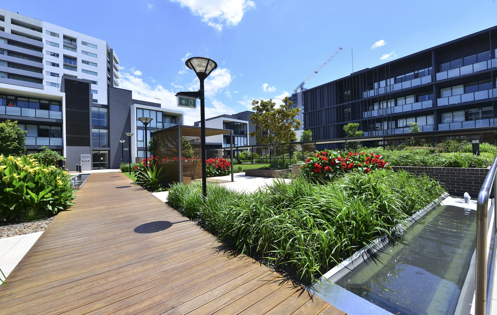 Additional image 7 of 627/2B Defries Avenue, Zetland NSW 2017