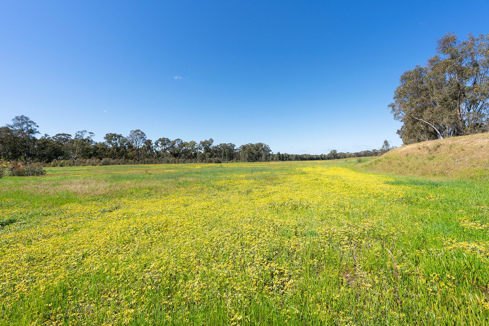 27 Muckleford School Road, Muckleford VIC 3451, Image 2