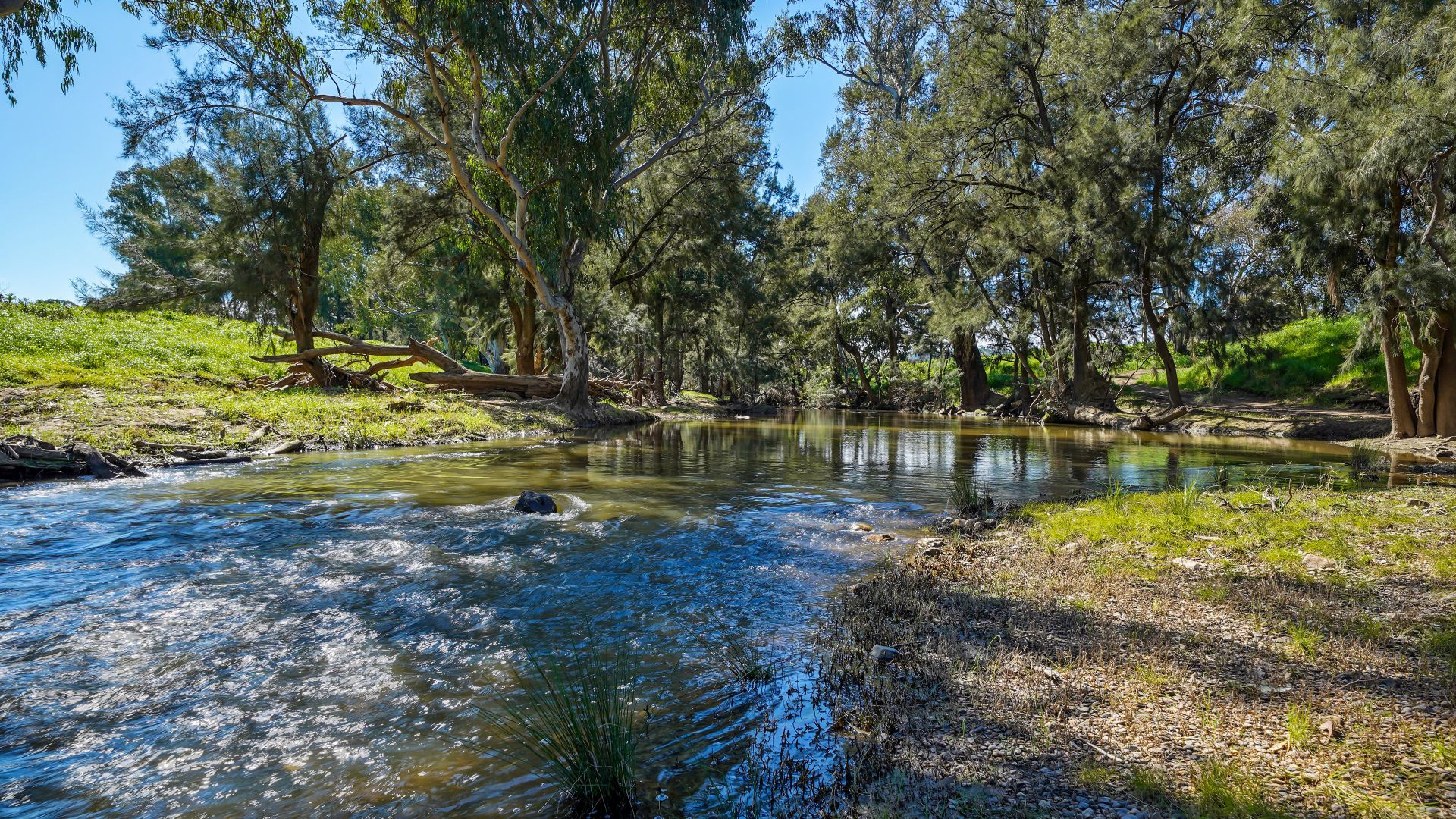 Goolma NSW 2852, Image 2