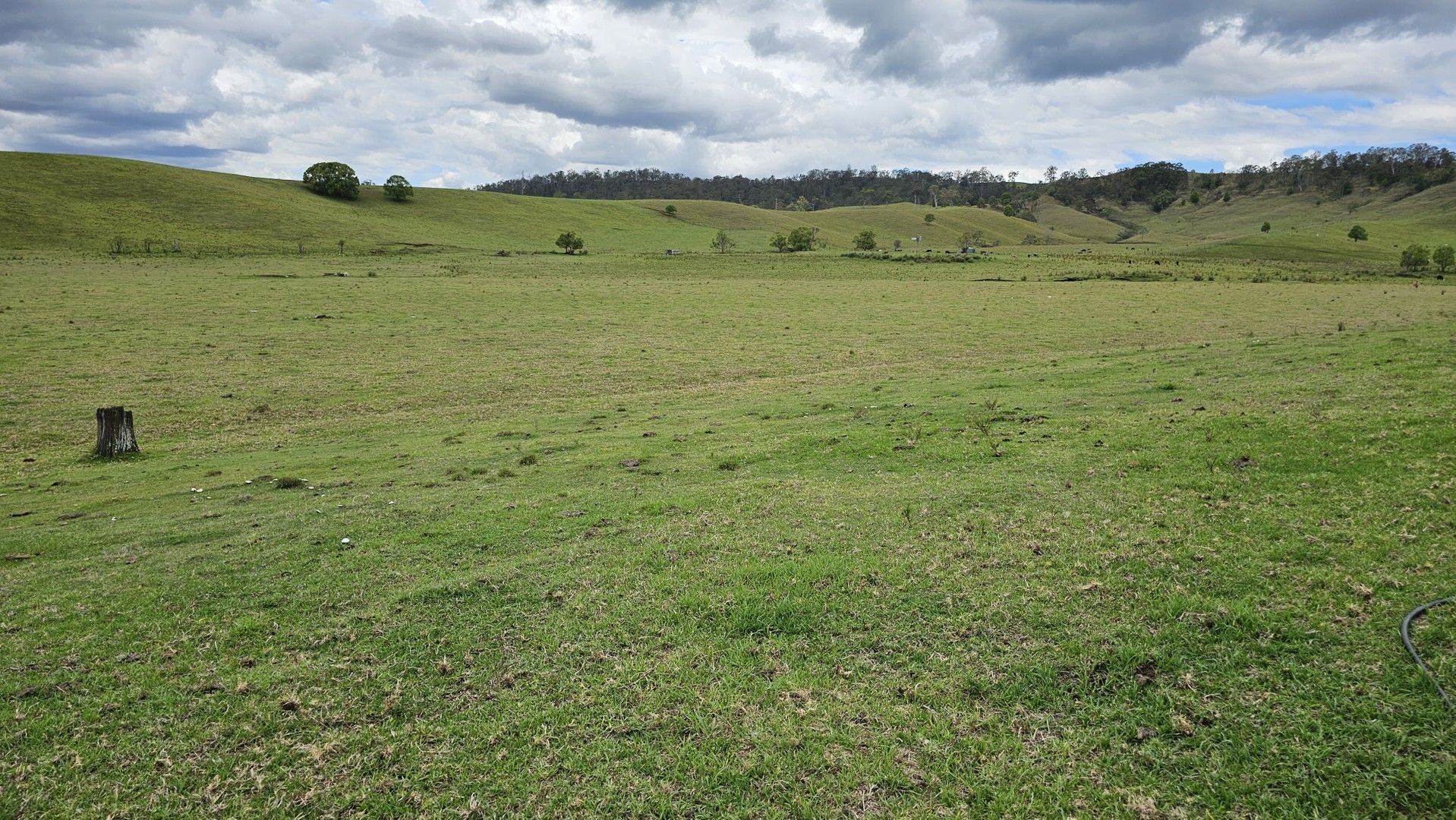 Lot 134 Bentley Road, Cedar Point NSW 2474, Image 0