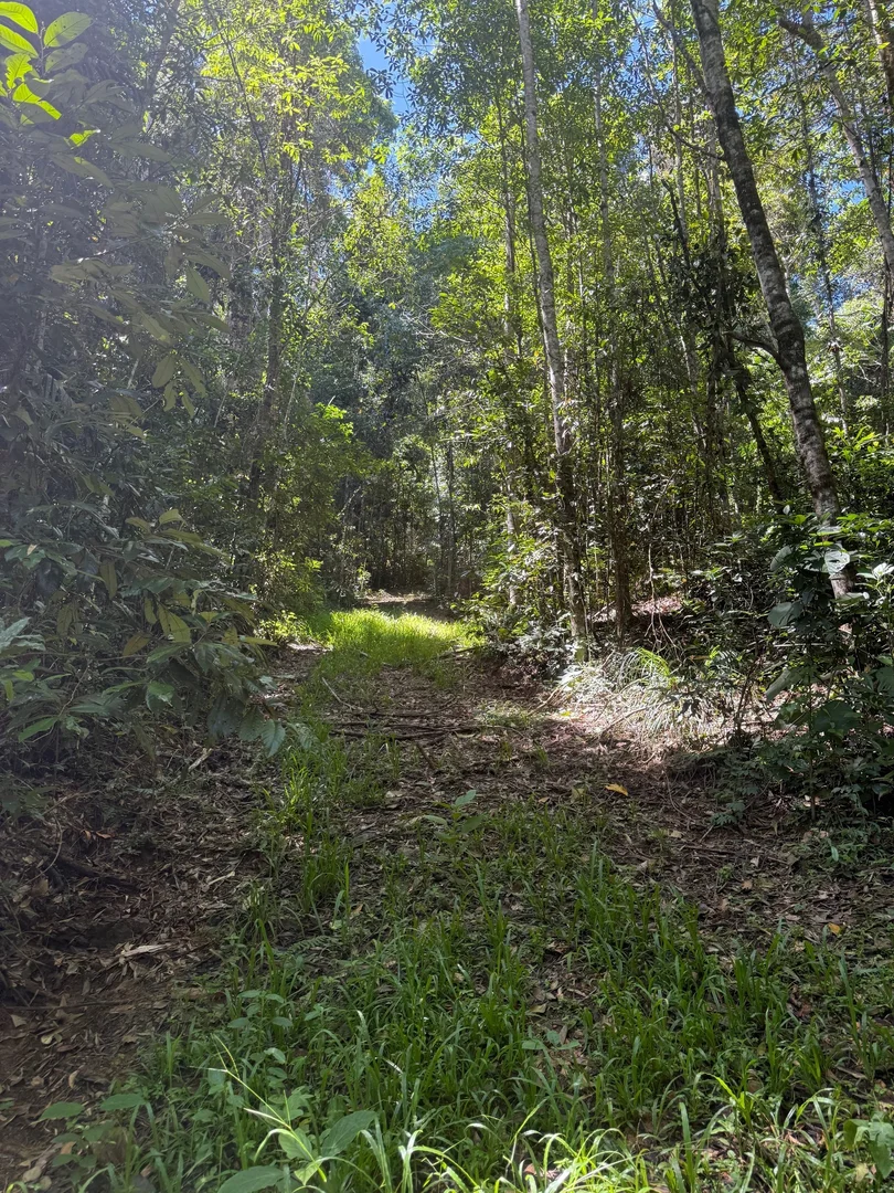 Additional image 6 of 48 Sanctuary Close, Speewah QLD 4881