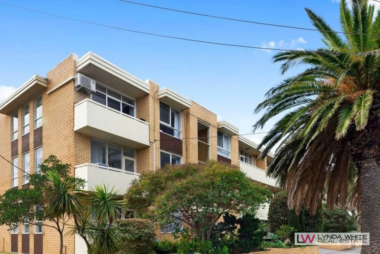 3/91 Beach Rd, Sandringham VIC 3191 | Domain