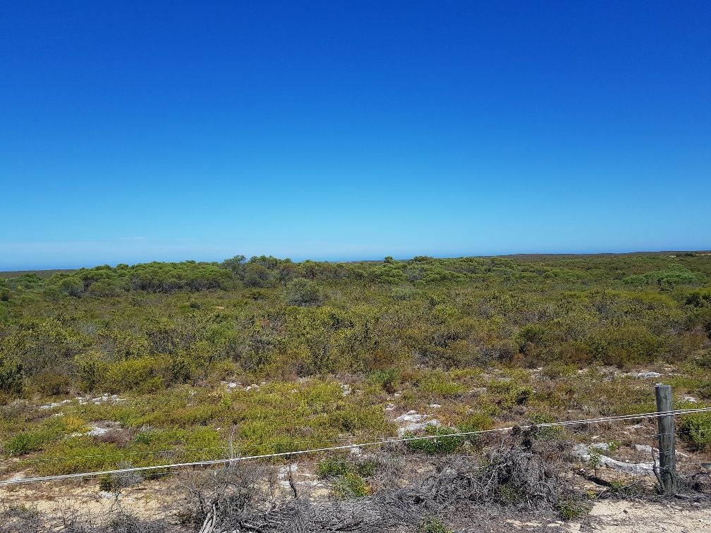 207 RIDGE Way, Jurien Bay WA 6516 Vacant Land for Sale Domain