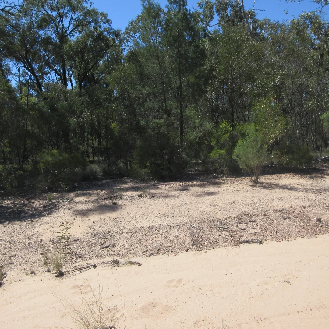 Additional image 3 of Lot 160 Lucky Road, Tara QLD 4421