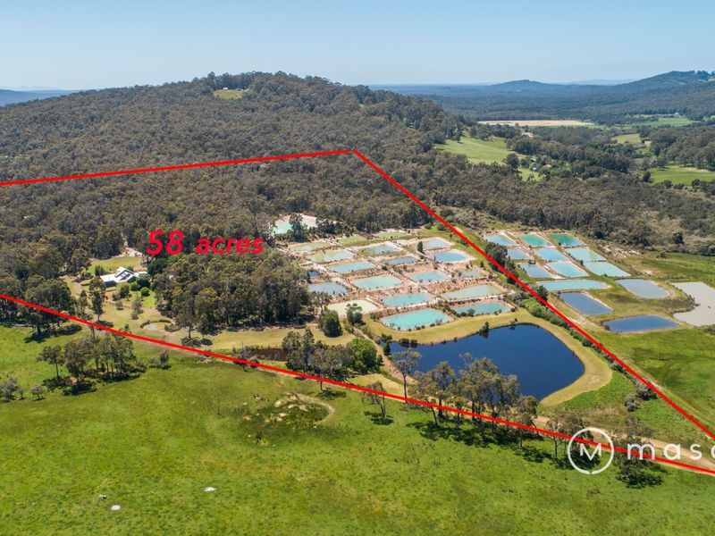 394 Harewood Rd, Denmark WA 6333, Image 2