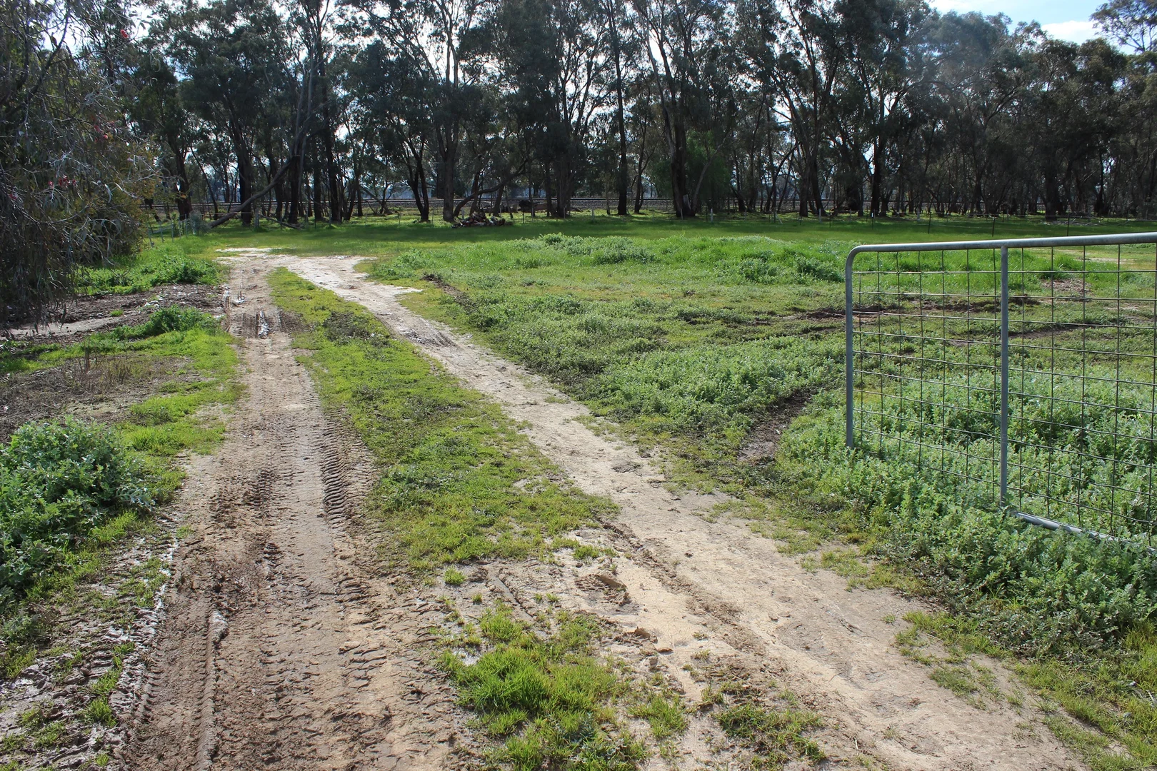 Additional image 15 of 173 High Street, Baddaginnie VIC 3670