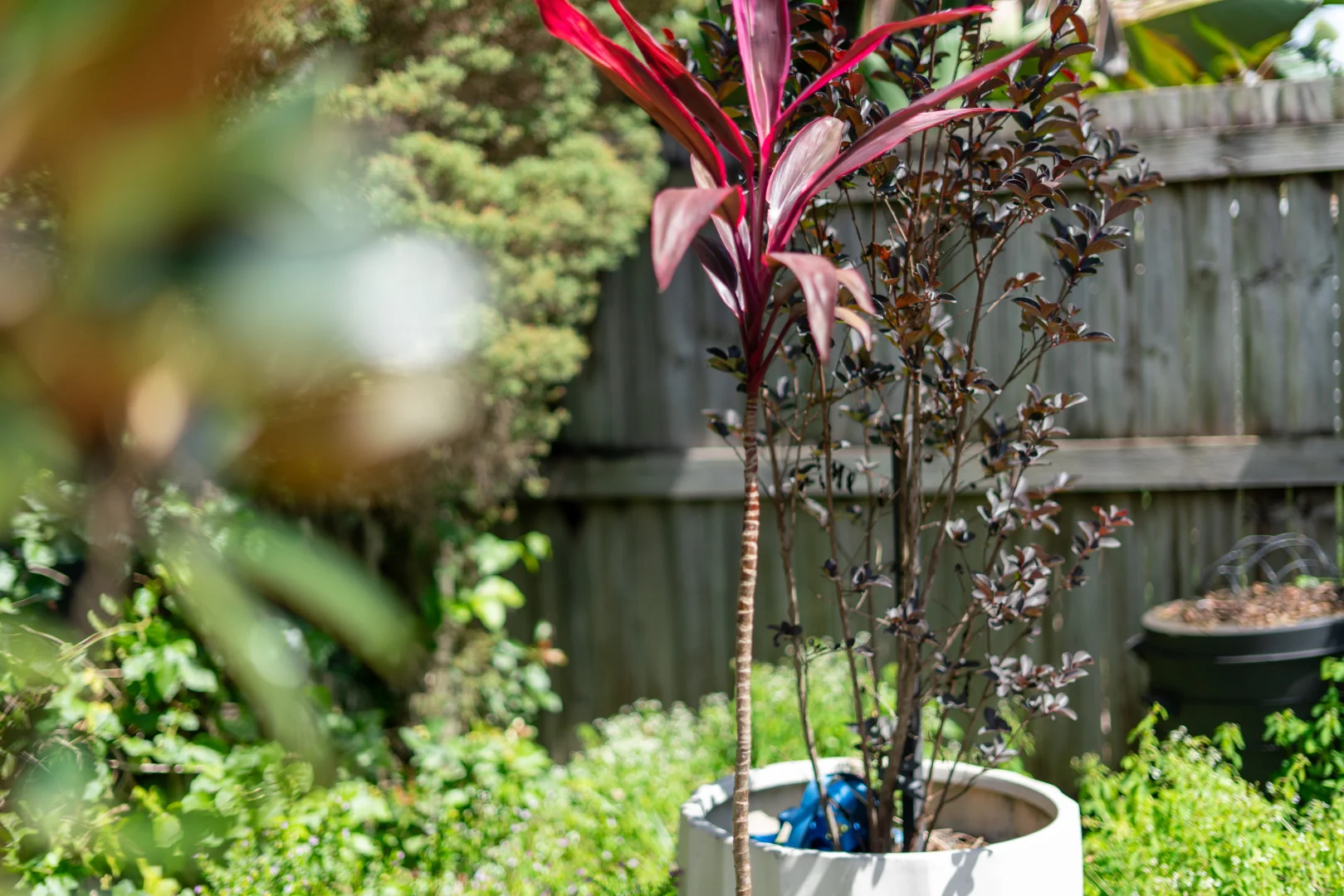 Additional image 20 of 10 Haskins Street, Baringa QLD 4551