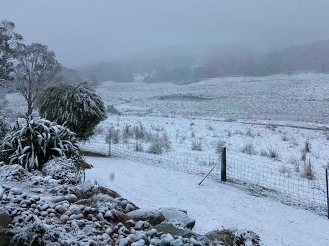 Additional image 38 of 507 Harolds Cross Road, Braidwood NSW 2622