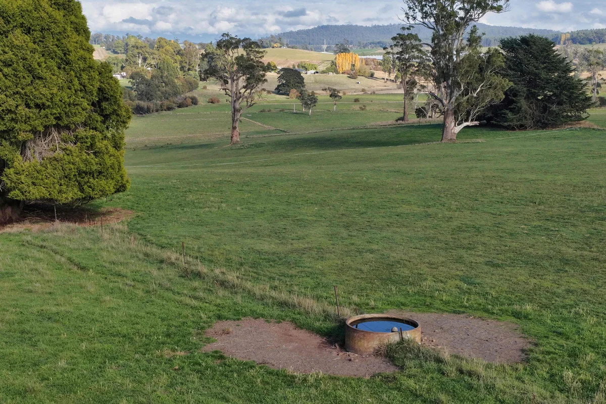 Image 12