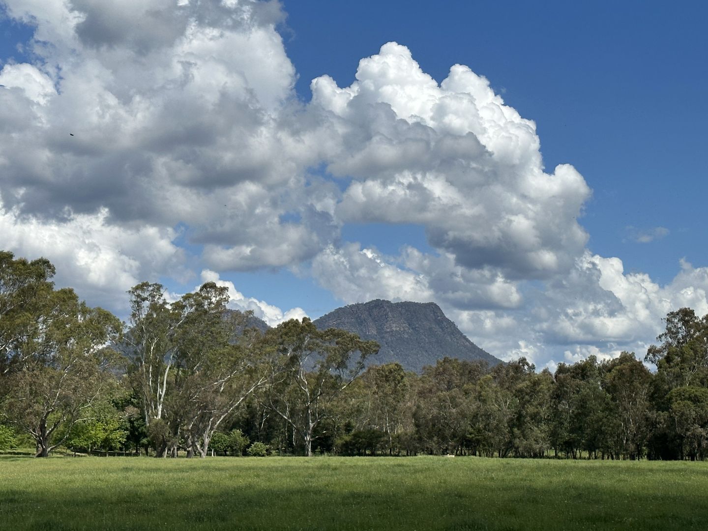 175 Taggerty - Thornton Road, Taggerty VIC 3714, Image 1