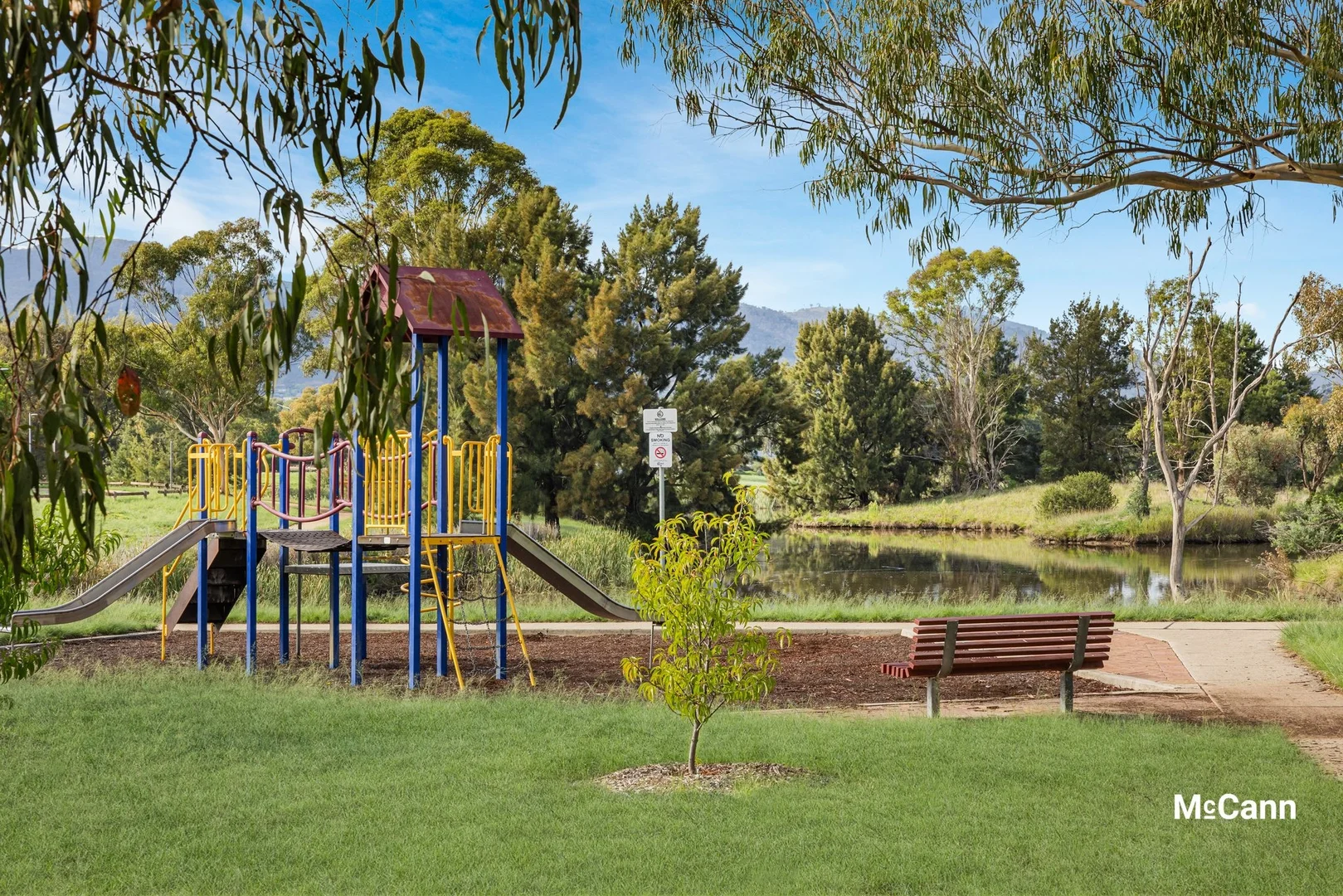 Image 15