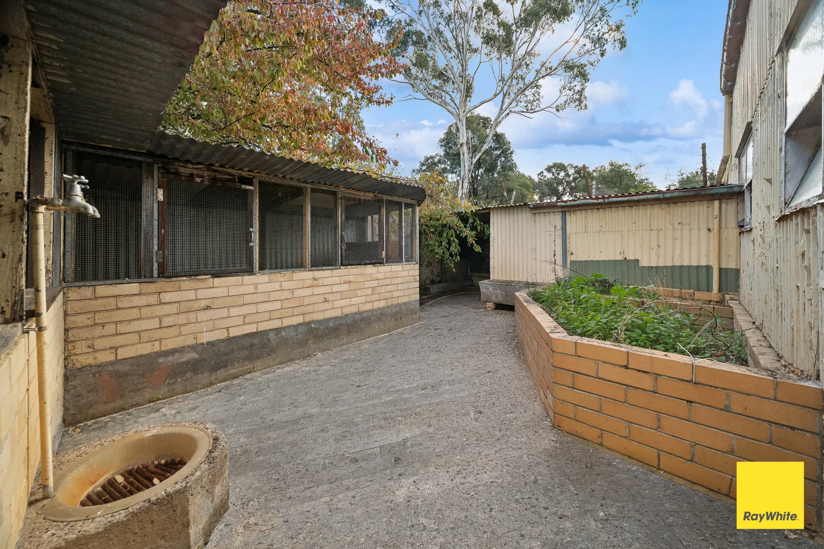 Image 22