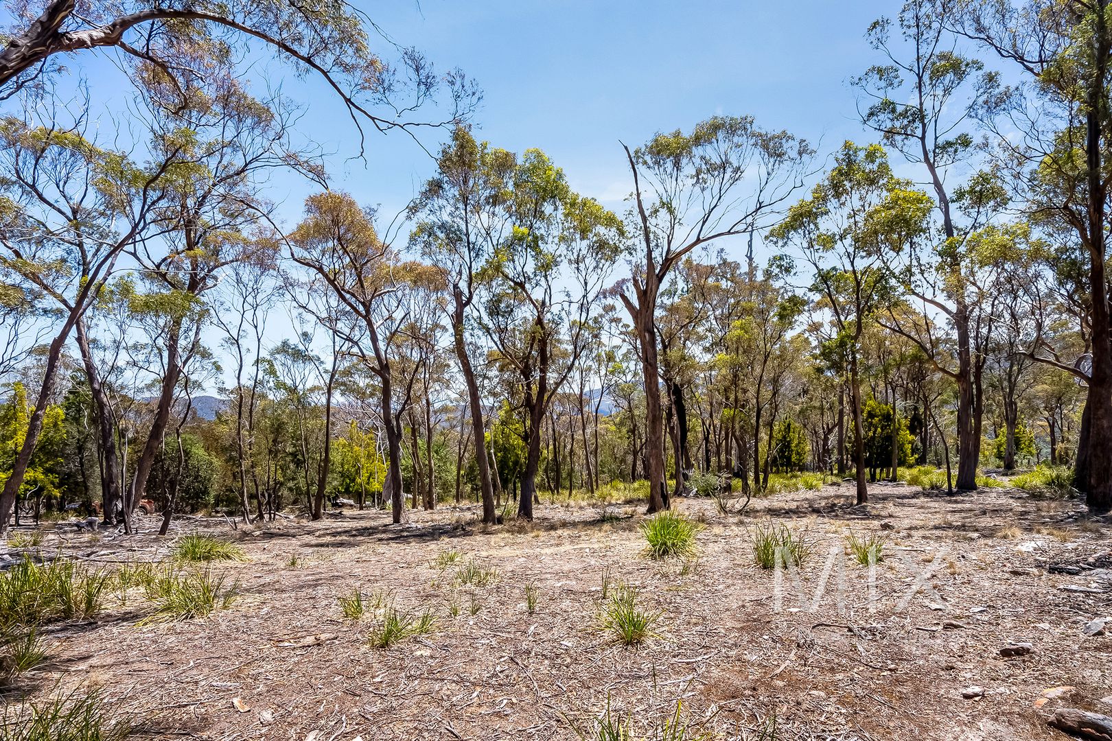 484 Molesworth Road, Molesworth TAS 7140 Vacant Land for Sale