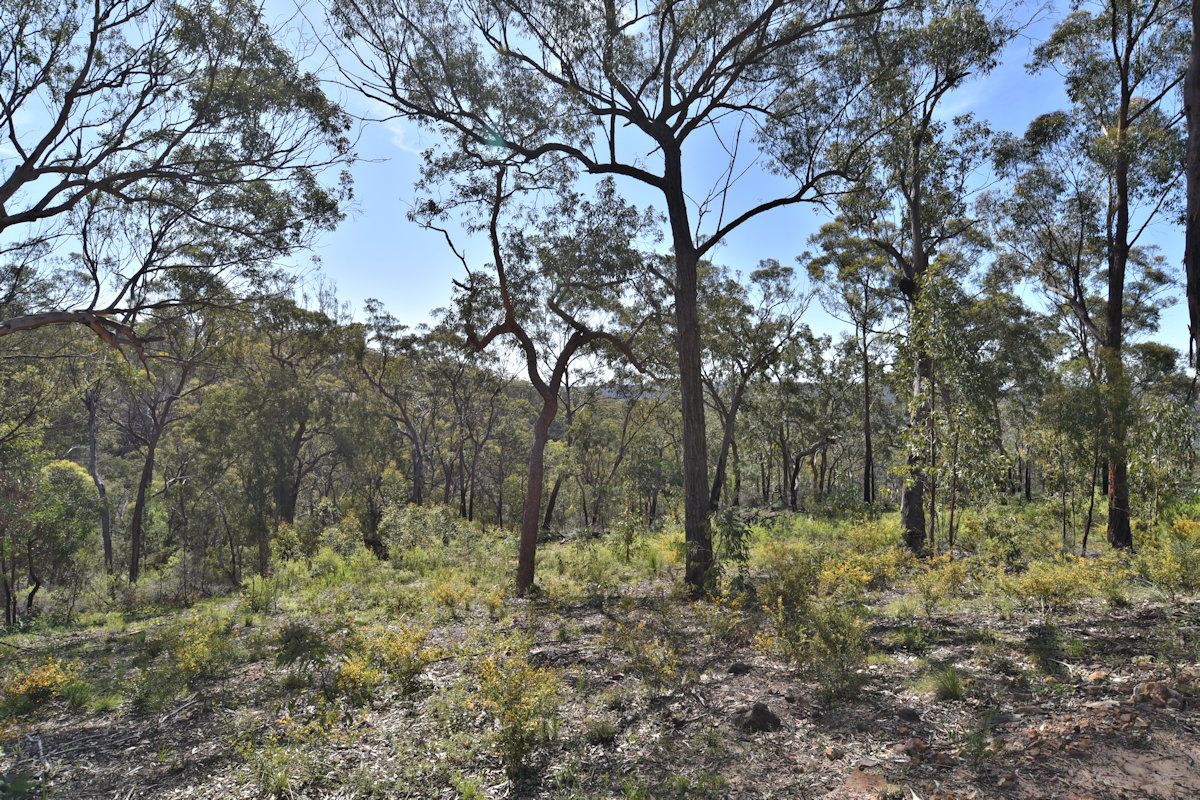 Knights Rd, Laguna NSW 2325, Image 1