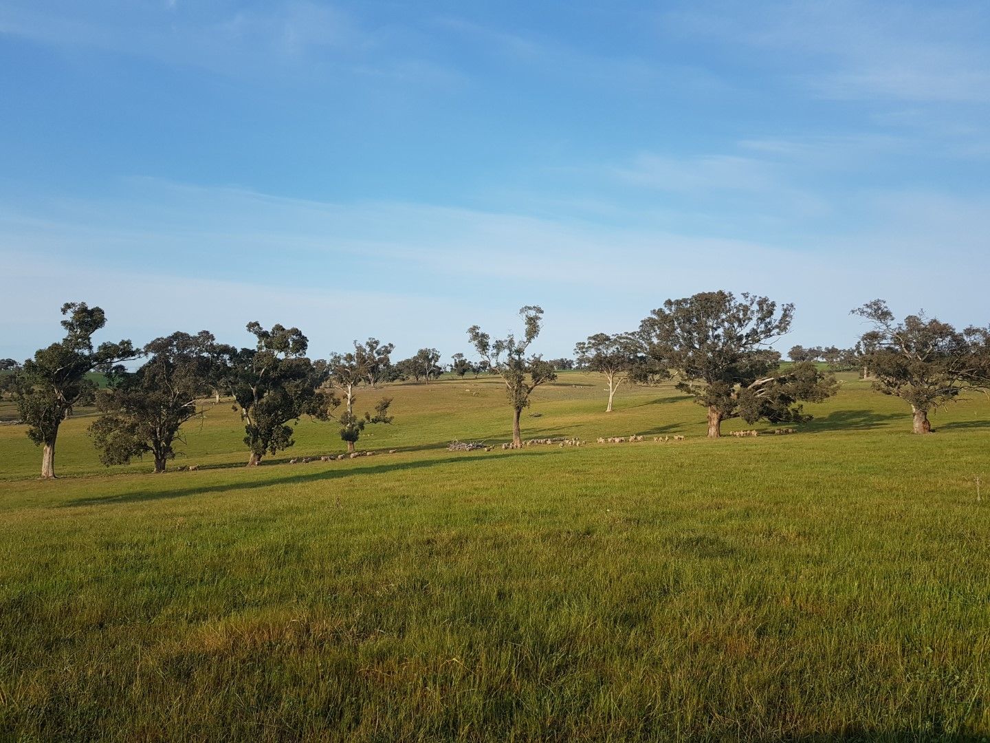 Uplands, Young NSW 2594, Image 0