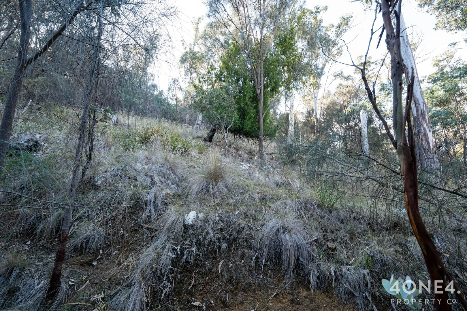 Image 14