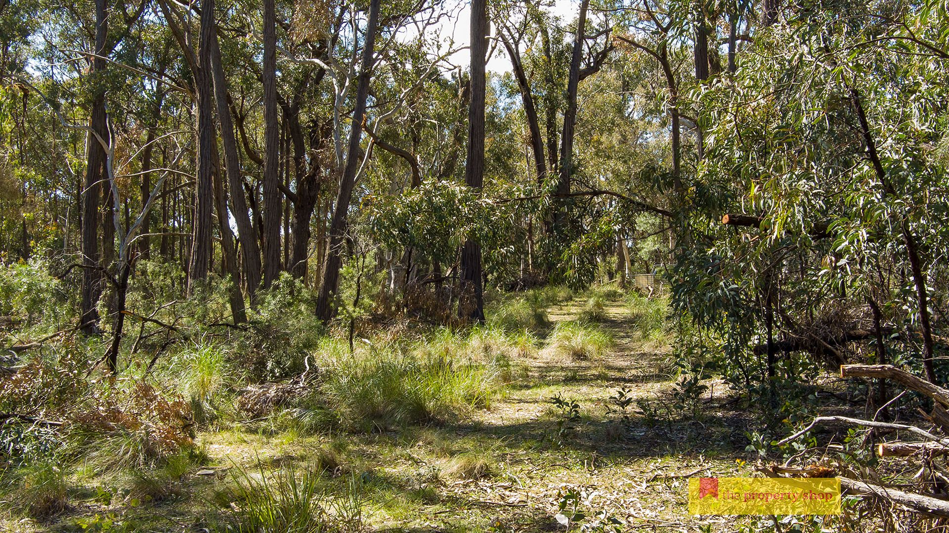 156 Triangle Swamp Road, Mudgee NSW 2850, Image 2