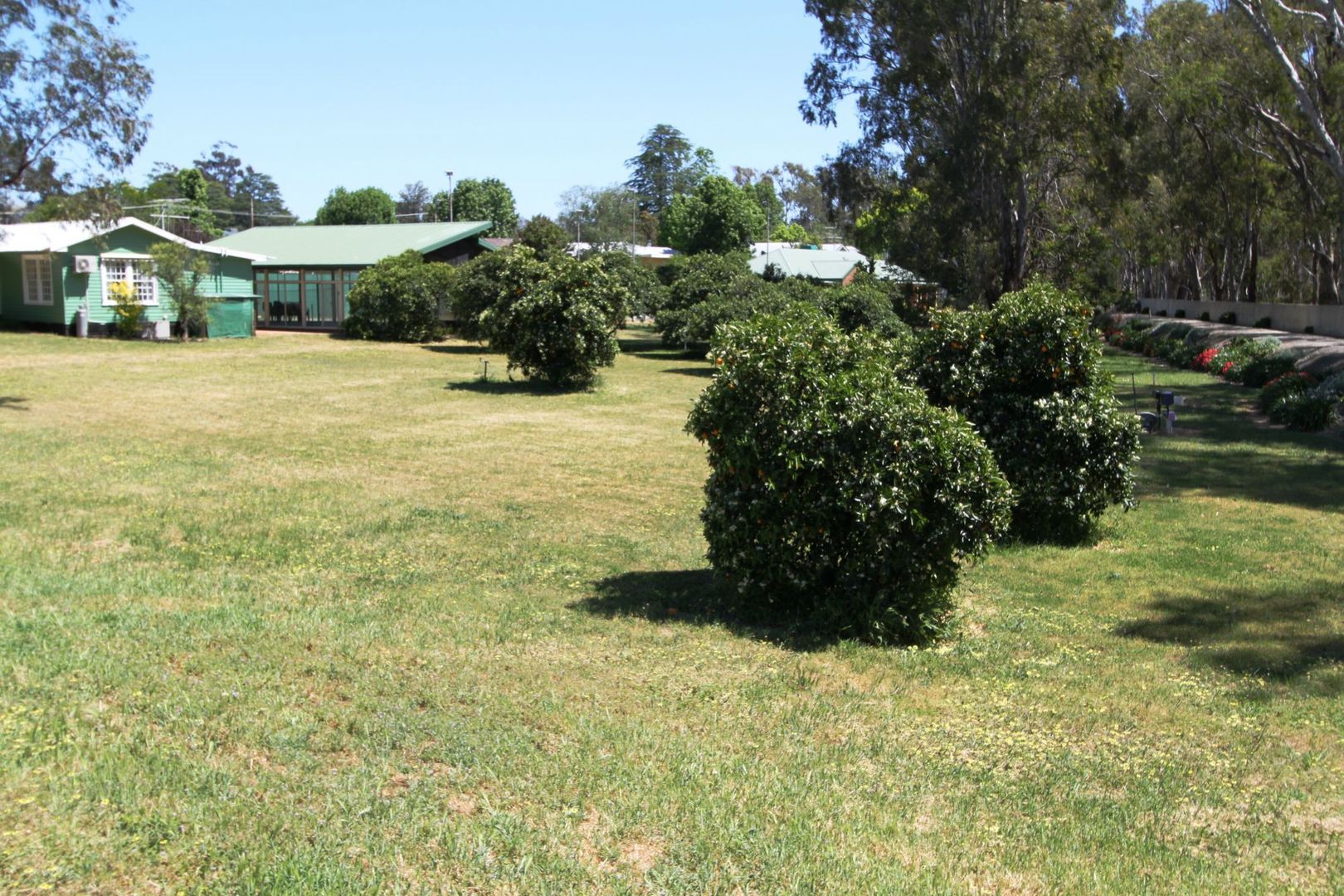 Cobram VIC 3644 vacant land for Sale, 190,000 2013029484 Domain